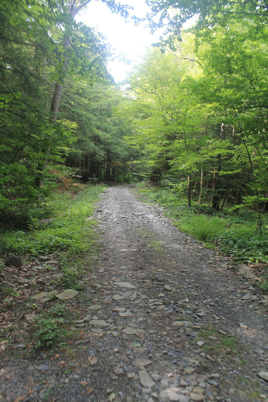 Photo: Rebuilt Betty Brook Road Photo: Rebuilt Betty Brook Road