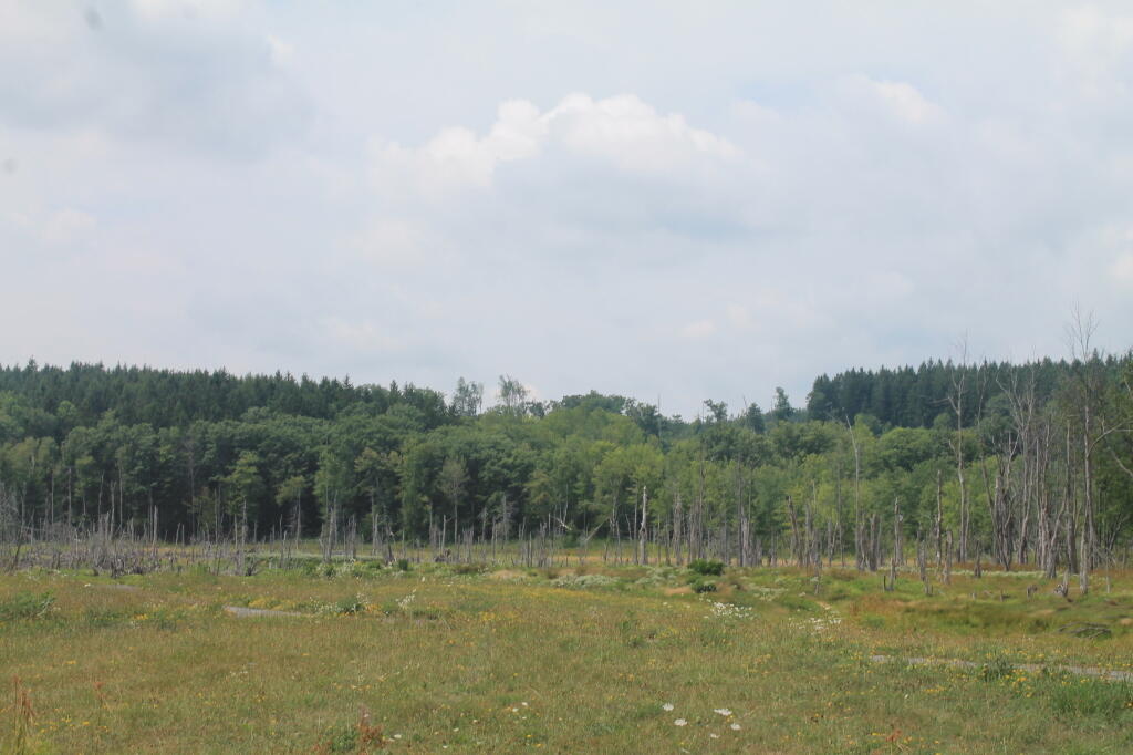 Photo: West