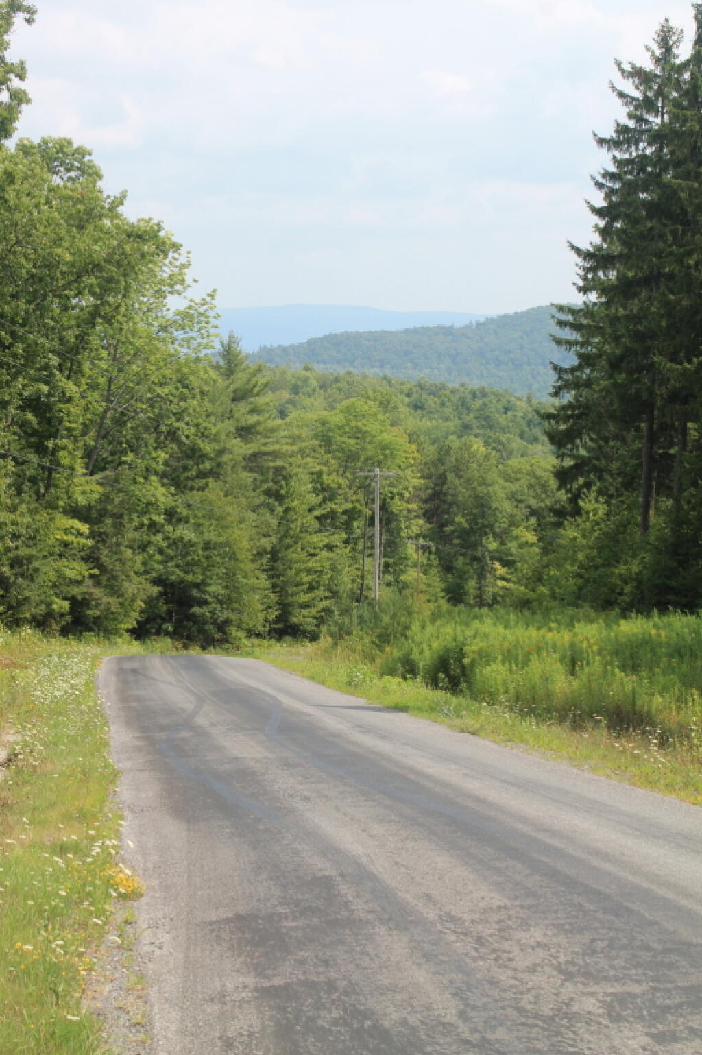 Photo: Down Rossman Hill