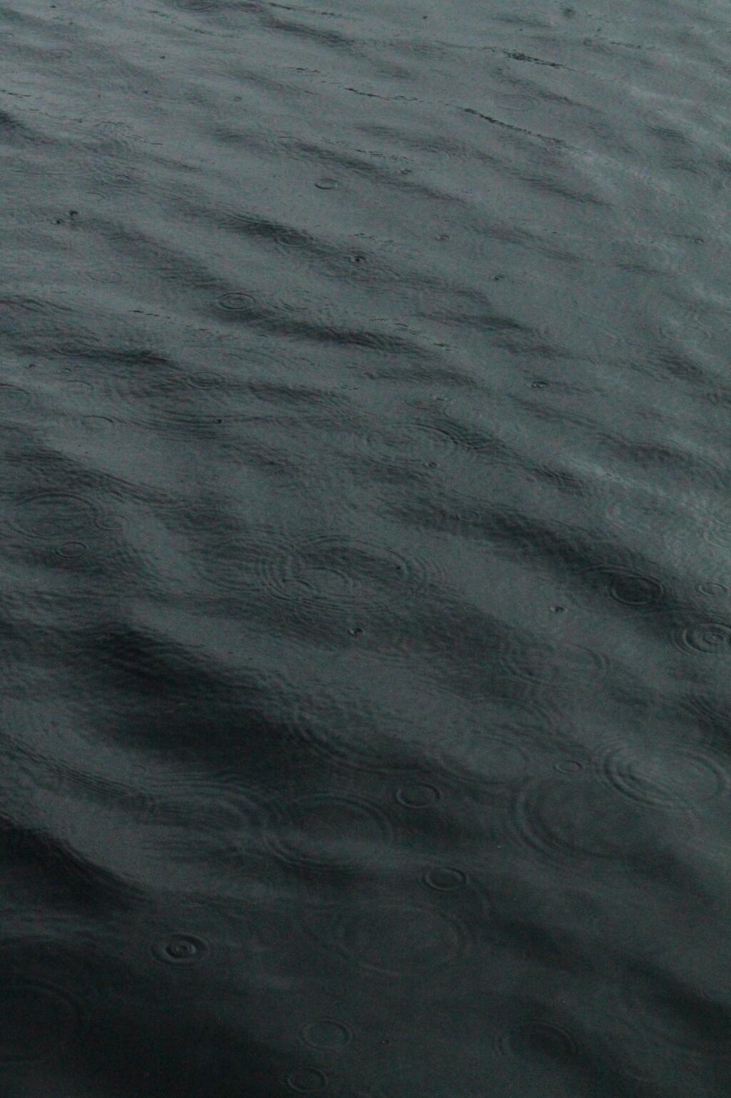 Photo: Fishing