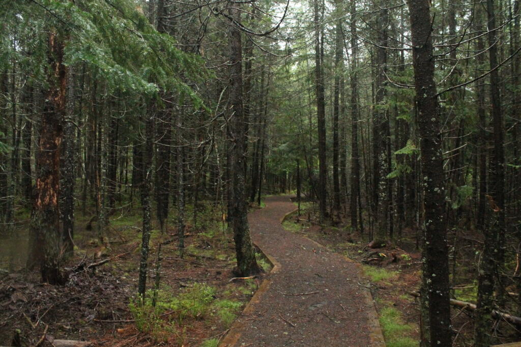 Photo: Another Rainy Day, Heading Down to Helldiver Pond