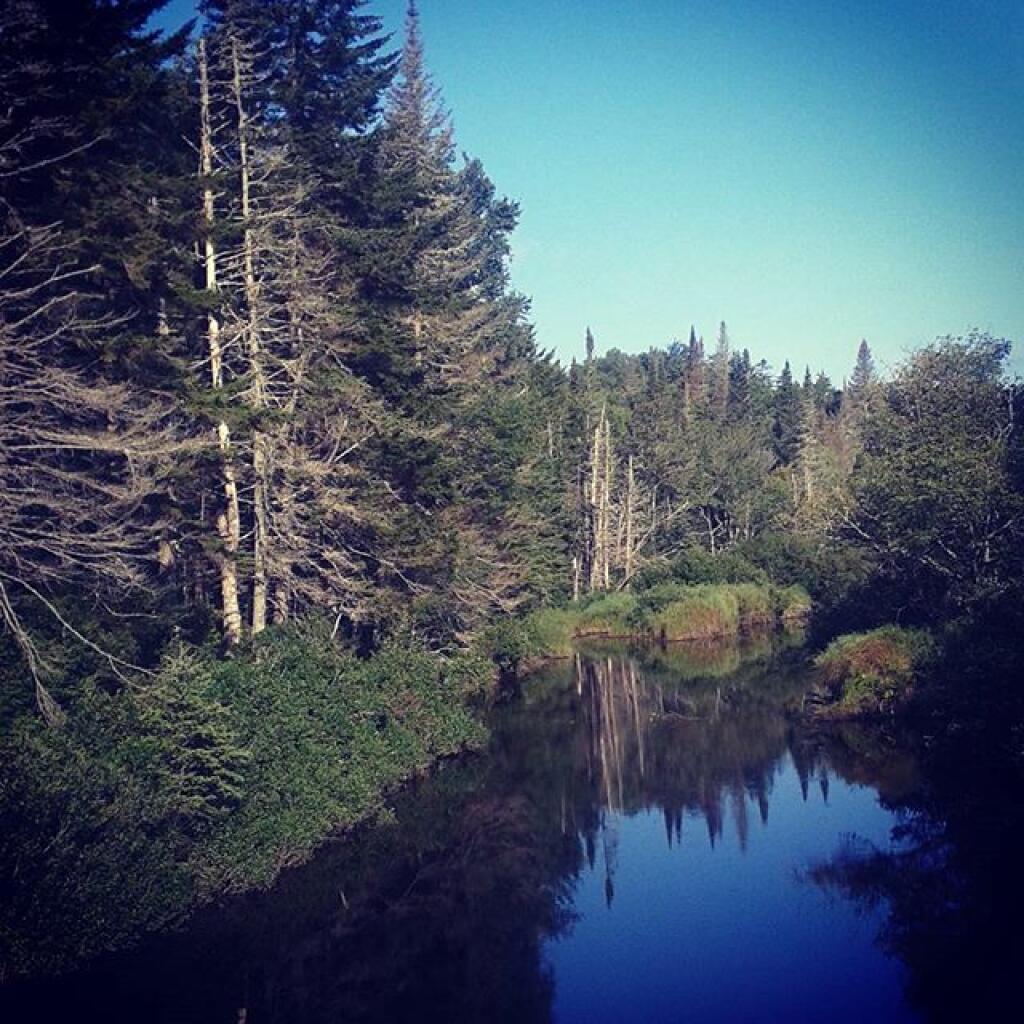 Photo: View from Powley Bridge