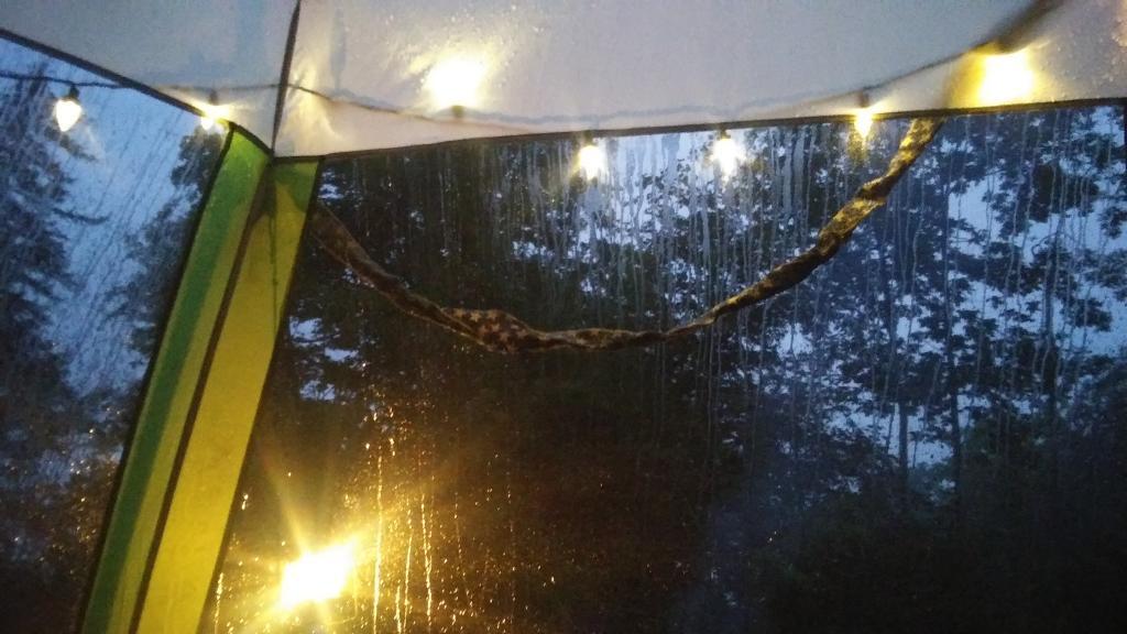 Photo: Rain earlier ☔