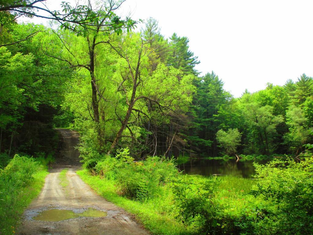Photo: Connecticut Hill Pond