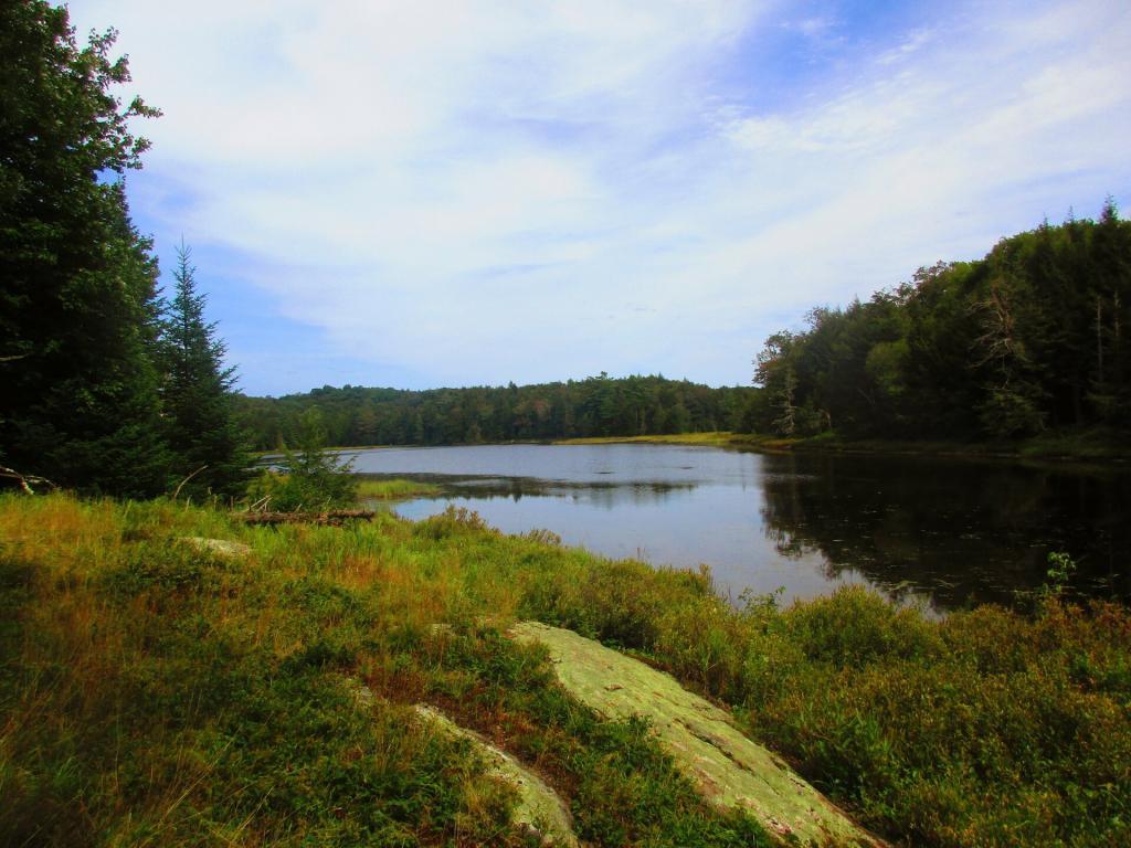 Photo: Waters Mill Pond Photo: Waters Mill Pond