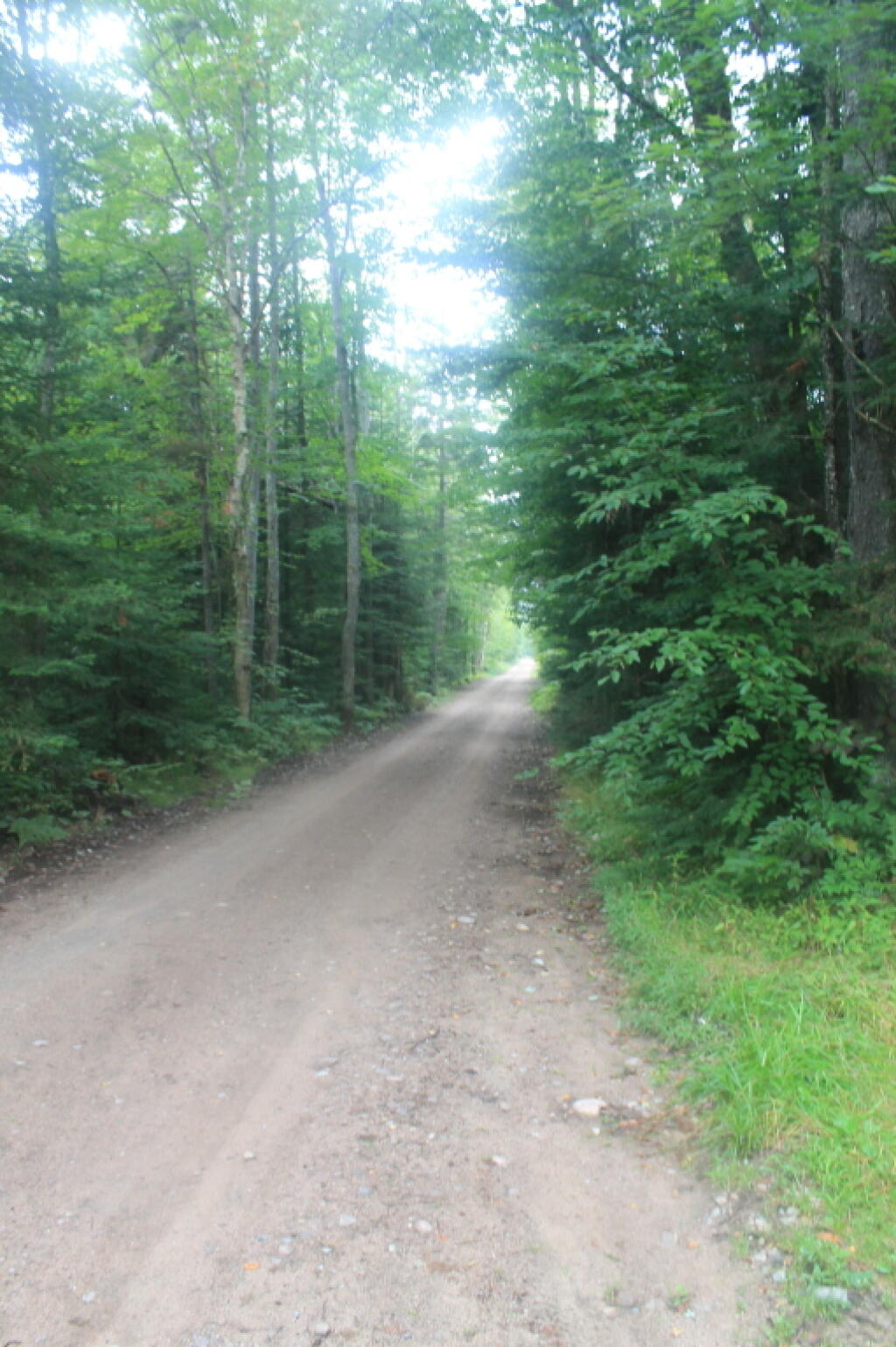 Photo: Horseshoe Road