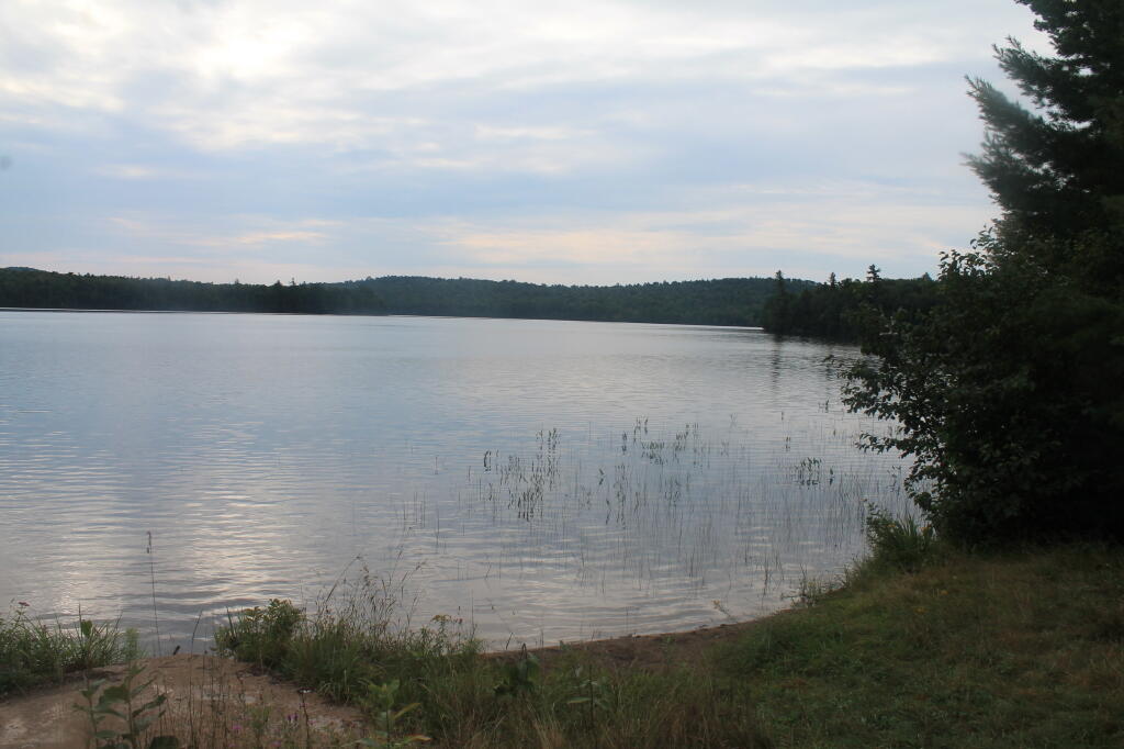 Photo: Horseshoe Lake Photo: Horseshoe Lake