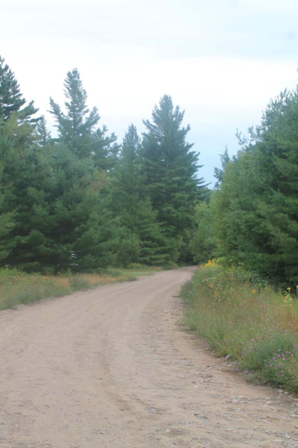 Photo: Horseshoe Lake at the Bend
