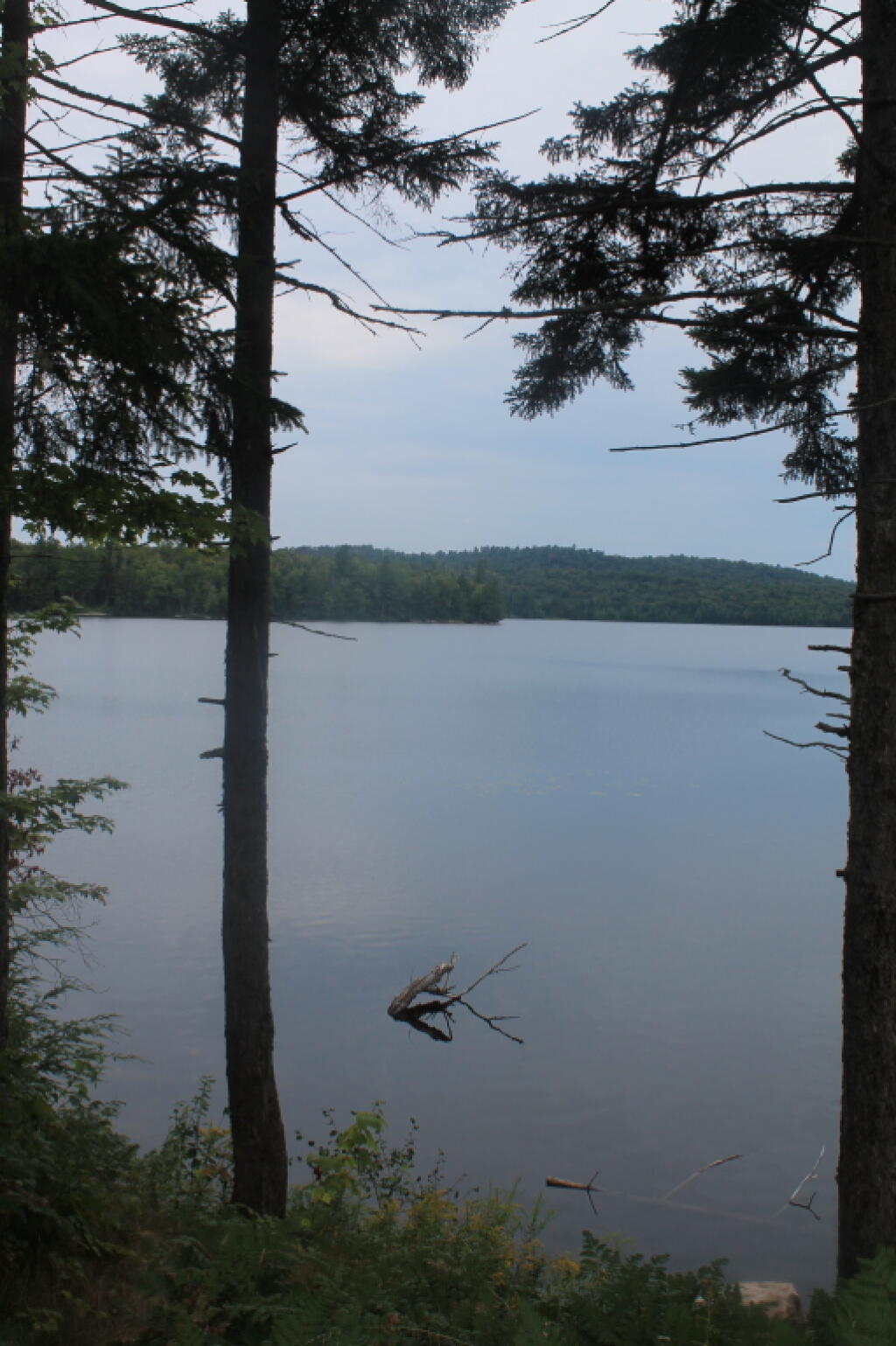 Photo: Horseshoe Lake Photo: Horseshoe Lake