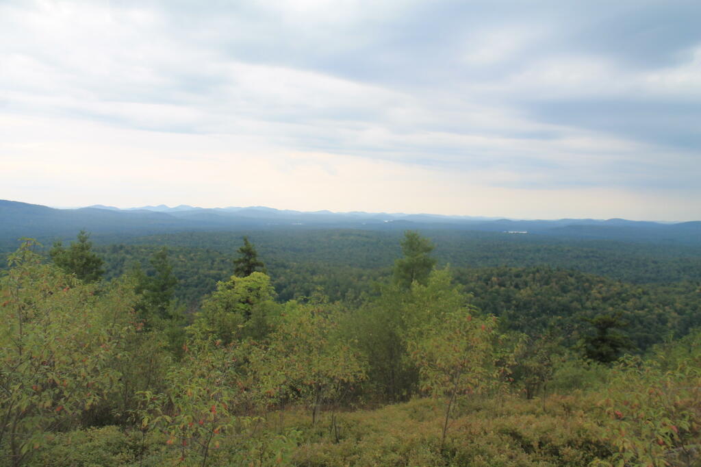 Photo: North East Towards Horseshoe Lake