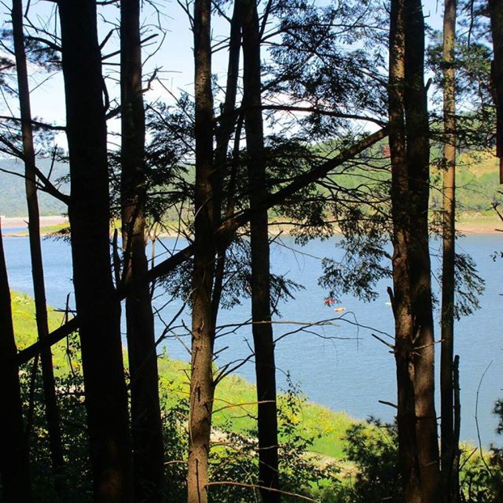 Photo: Reservoir Photo: Reservoir