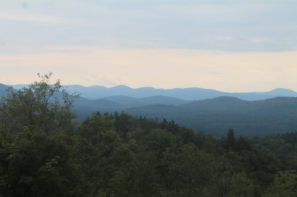 Photo: East
