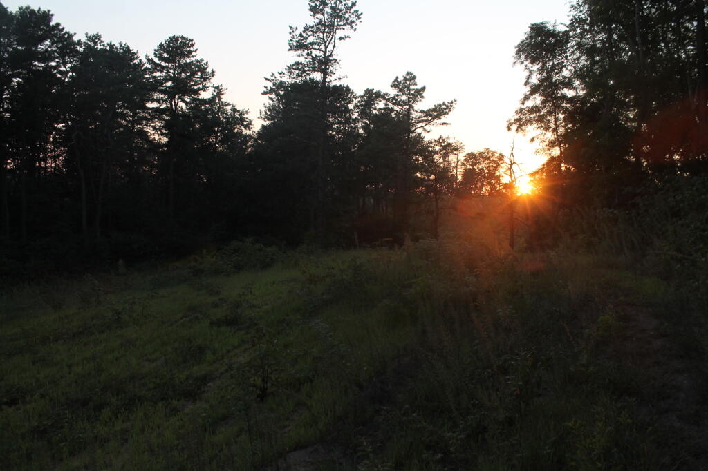 Photo: Setting Sun