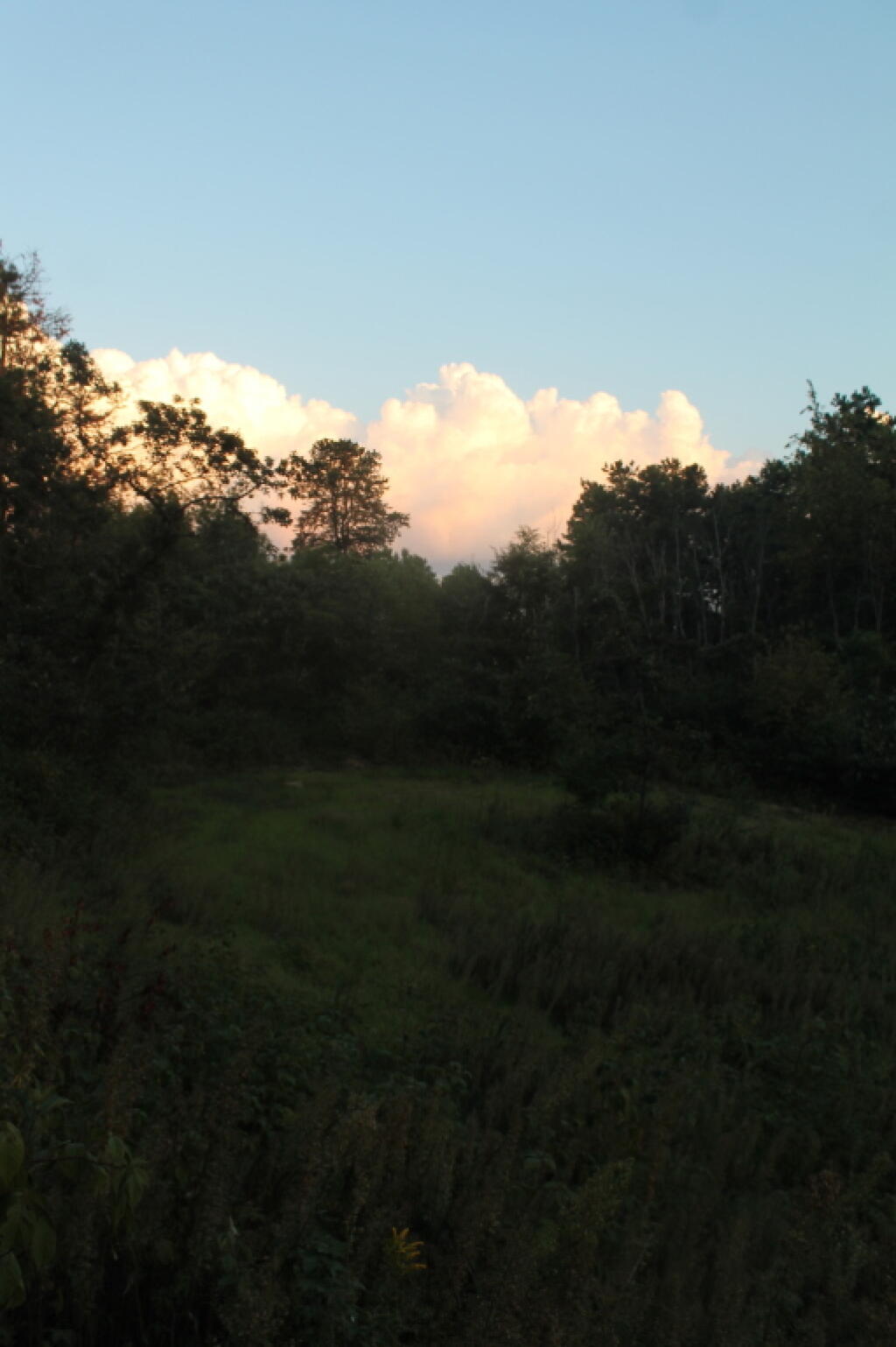 Photo: Clouds