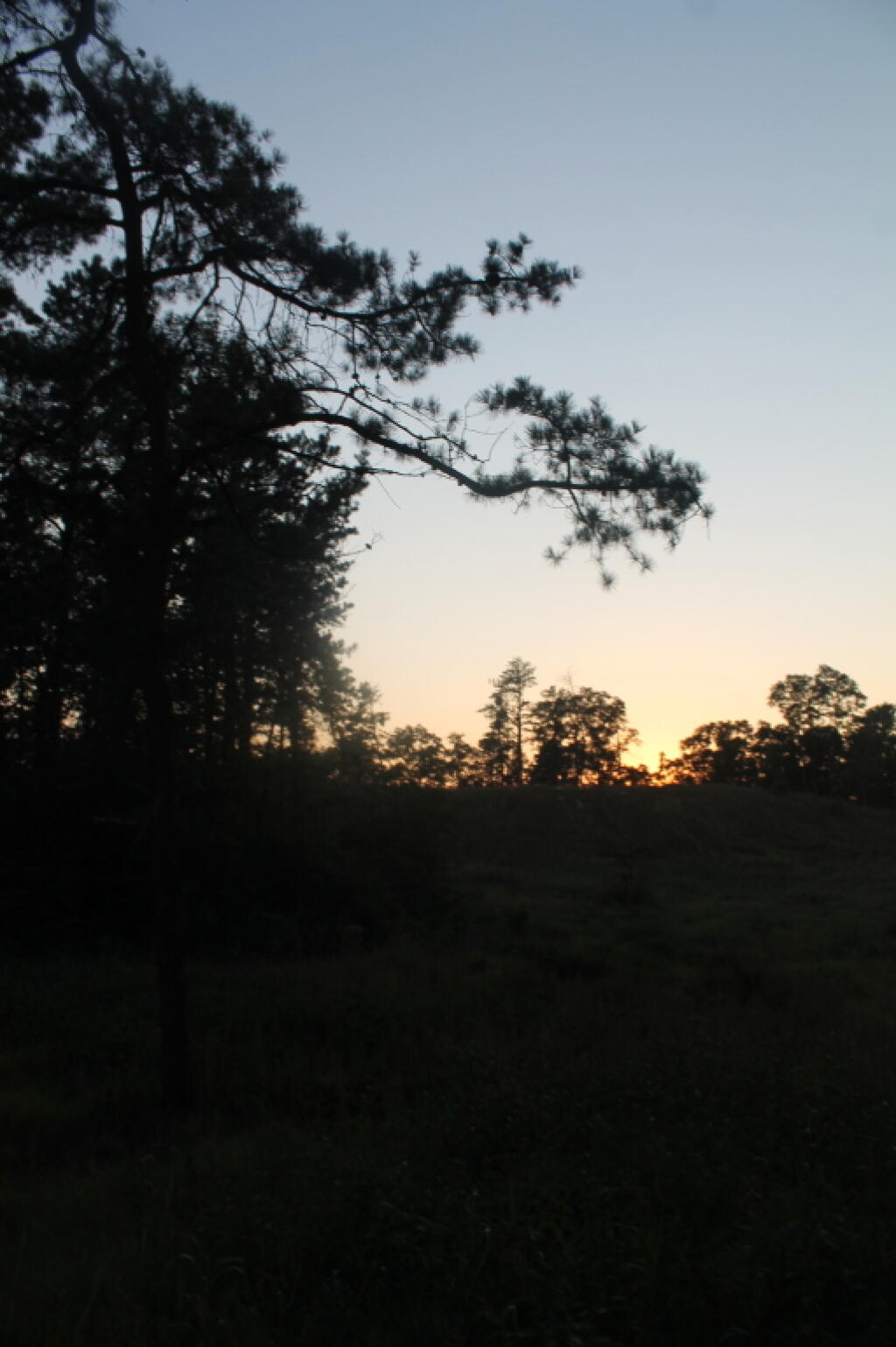 Photo: After Dusk