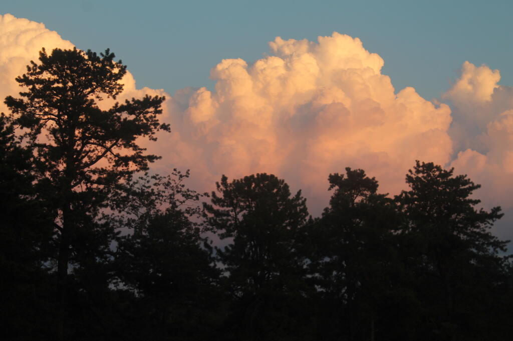 Photo: Pink and Blue