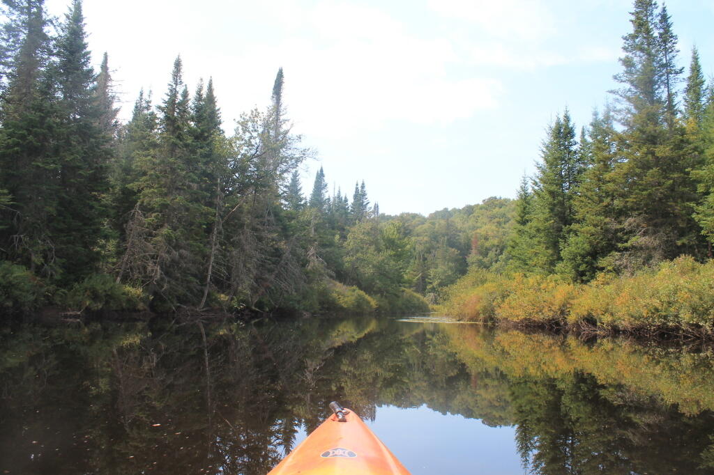Photo: Around the Next Oxbow