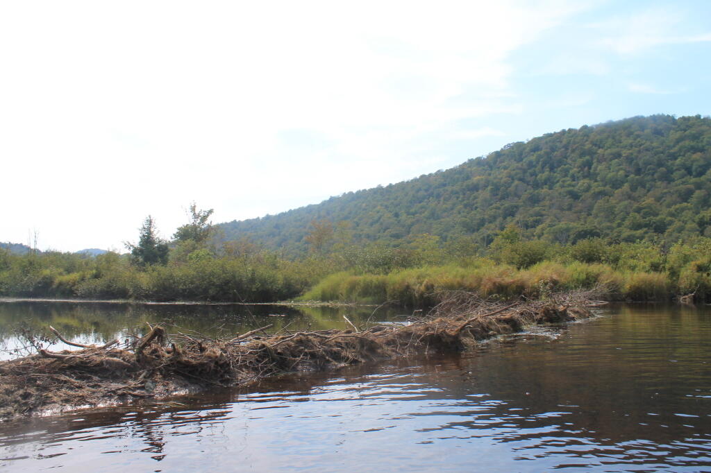 Photo: Beaver Dam No. 2 Photo: Beaver Dam No. 2