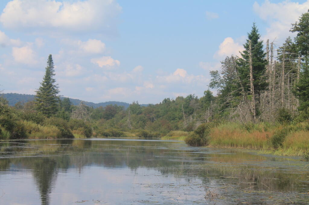 Photo: East Canada Creek