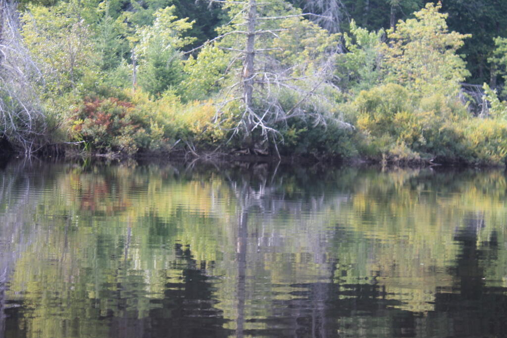 Photo: Reflections