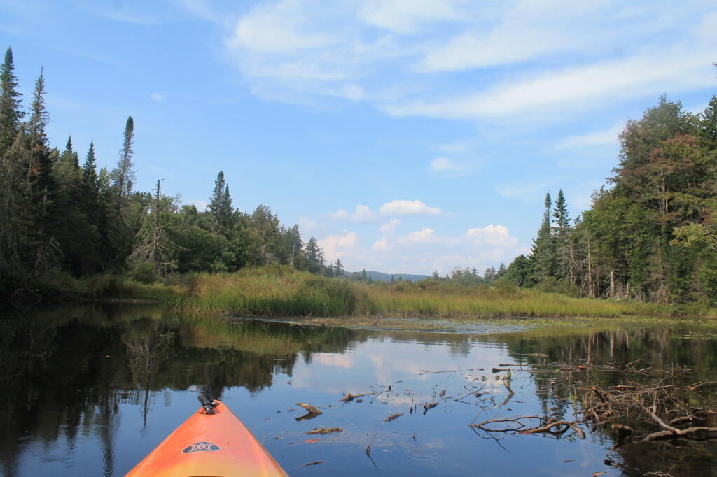 Photo: Untitled Photo: Untitled