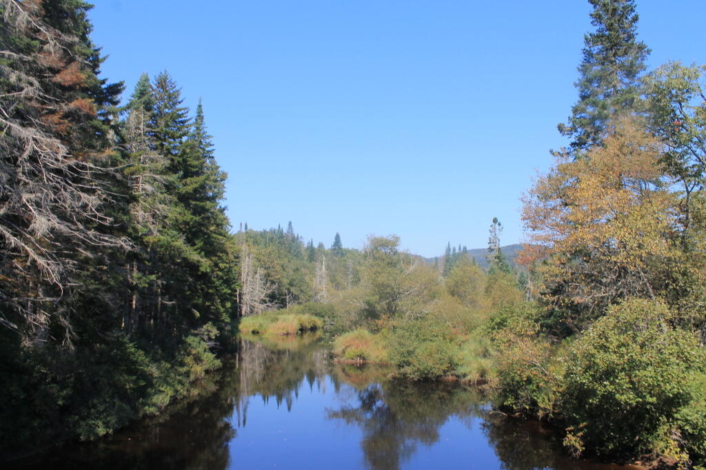 Photo: East Canada Creek from the bridge