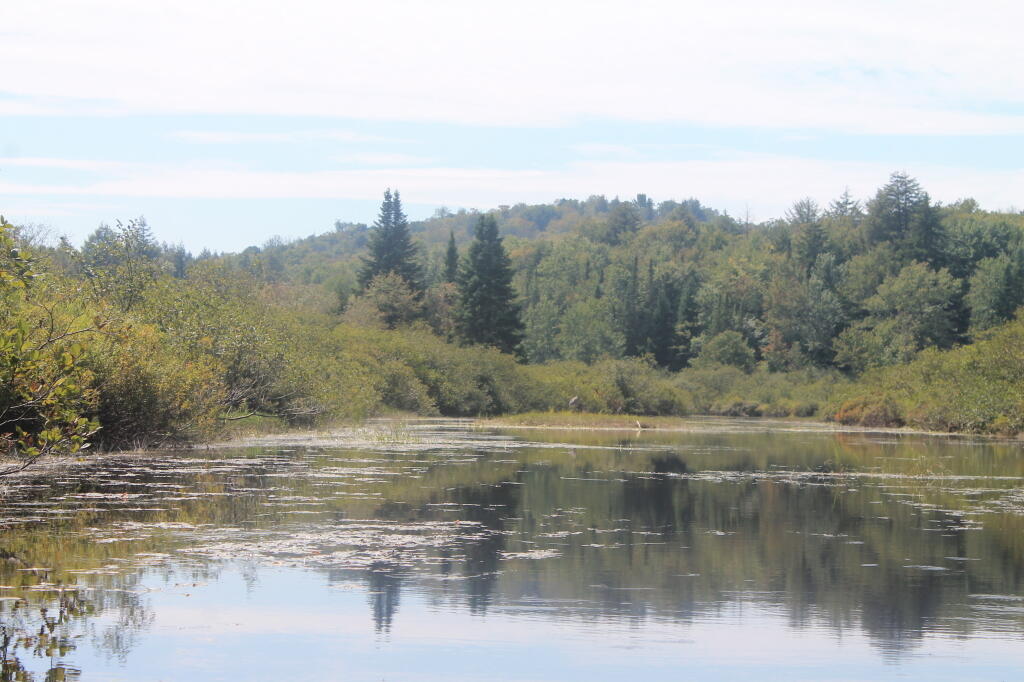 Photo: Decided to Go Back Out on East Canada Creek