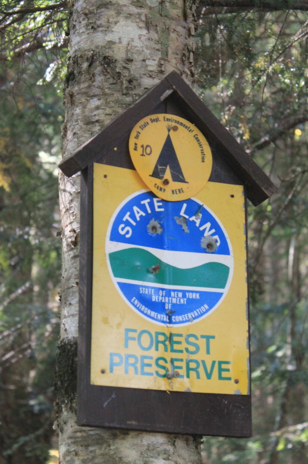 Photo: Campsite No 10