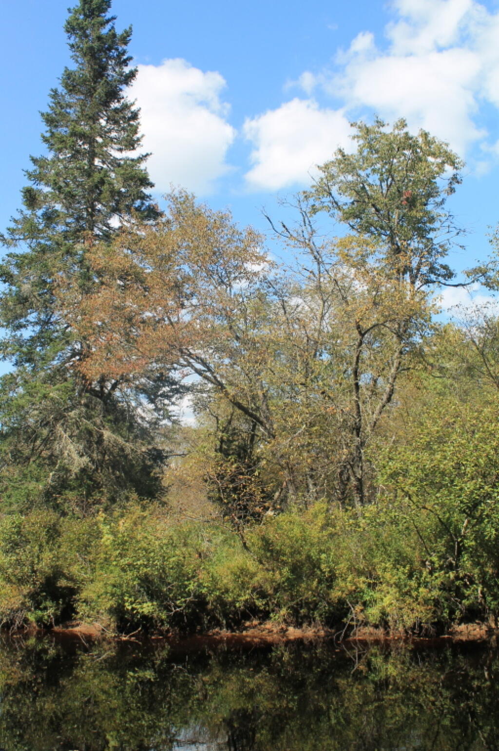 Photo: Hints of Fall ?