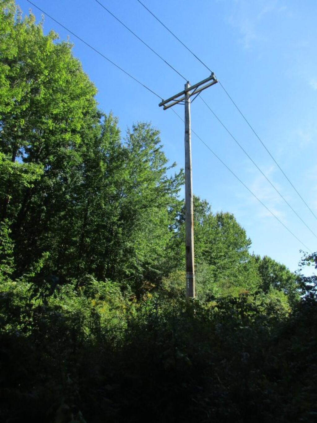 Photo: Powerline Photo: Powerline