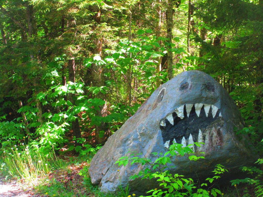 Photo: Shark Rock