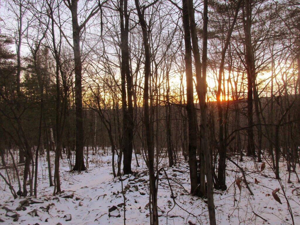 Photo: Sunset