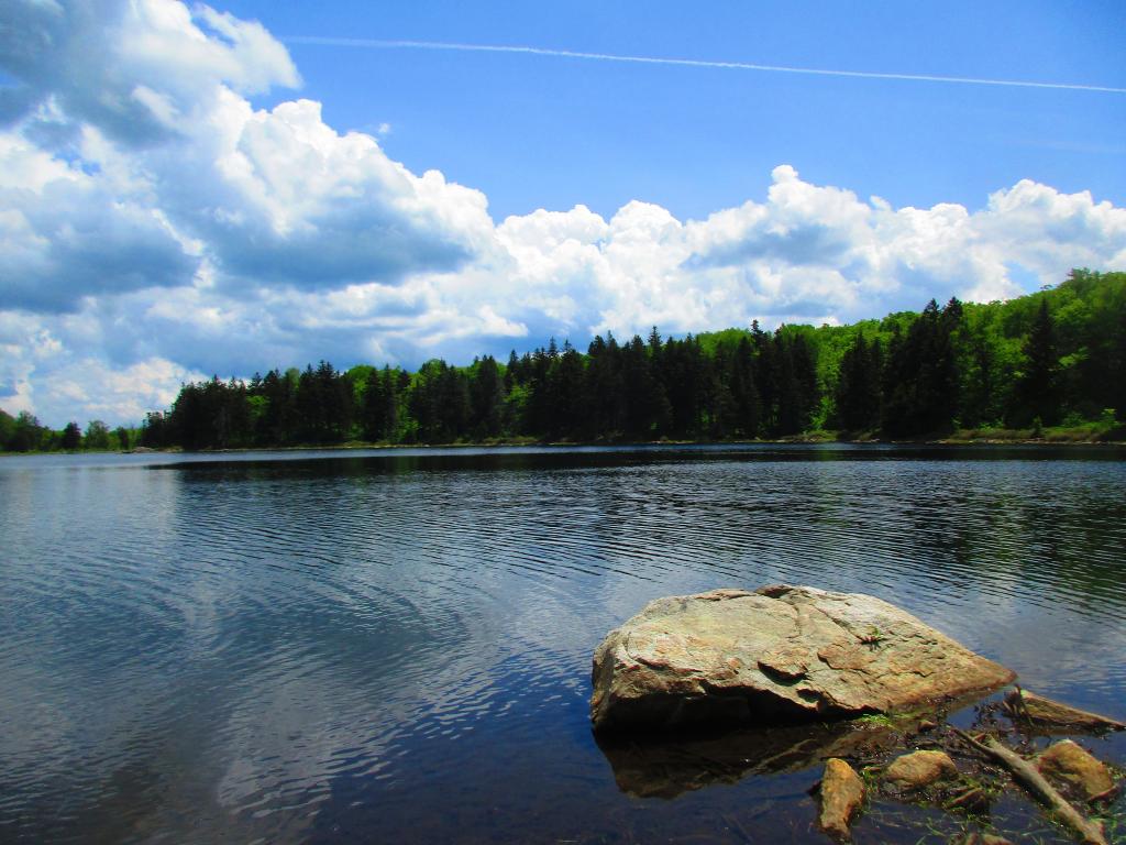 Photo: Little Pond