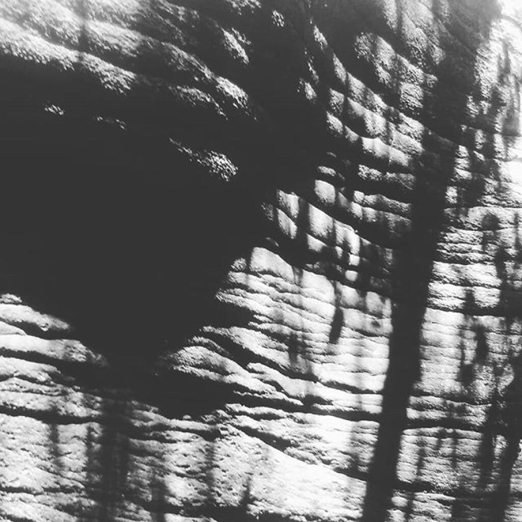Photo: Autumn shadow