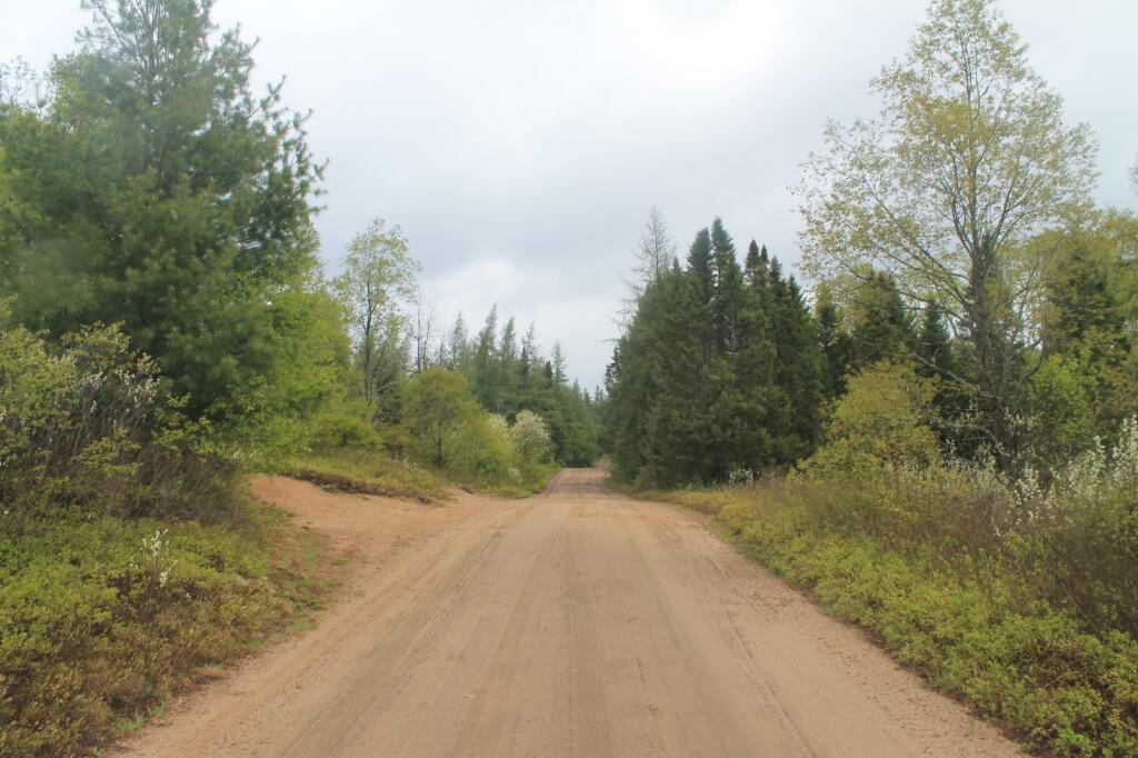 Photo: Plains Road Photo: Plains Road