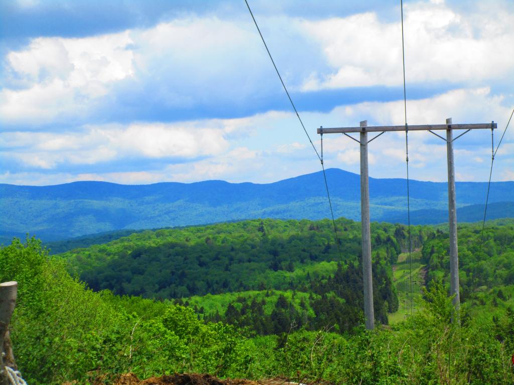 Photo: Power Line Break Photo: Power Line Break