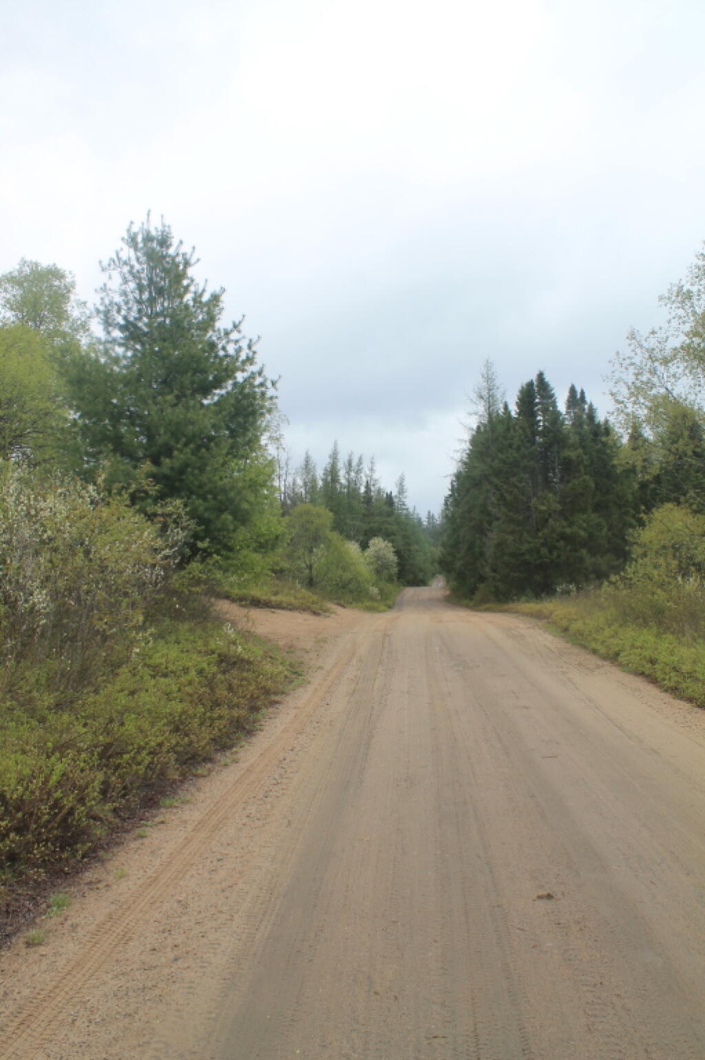 Photo: Over the Hill