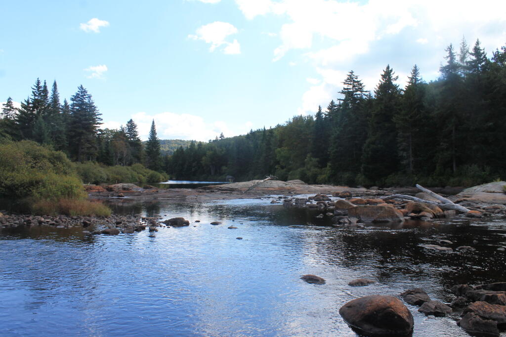 Photo: Natural Rock Dam on Moose River