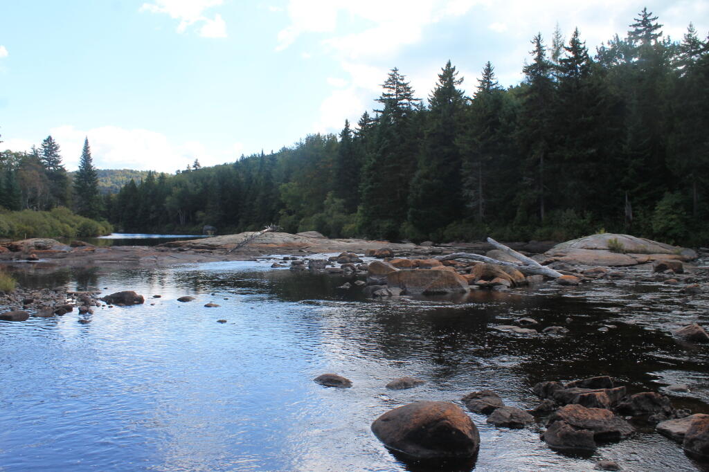 Photo: Untitled Photo: Untitled