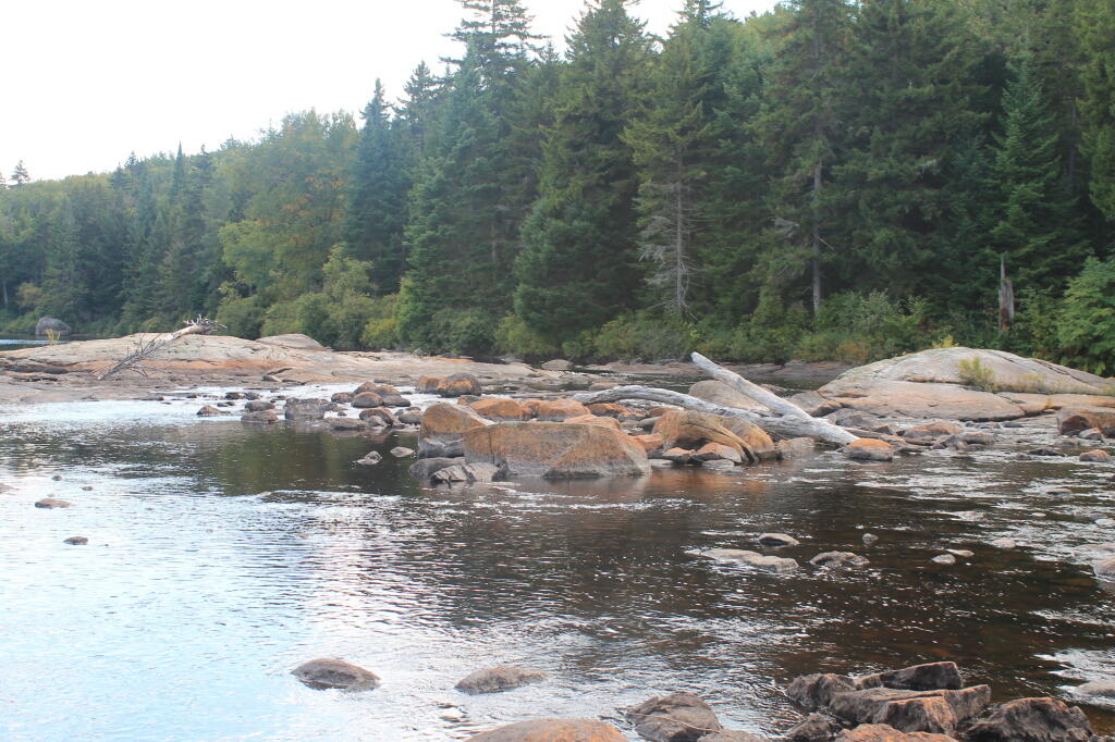 Photo: Untitled Photo: Untitled