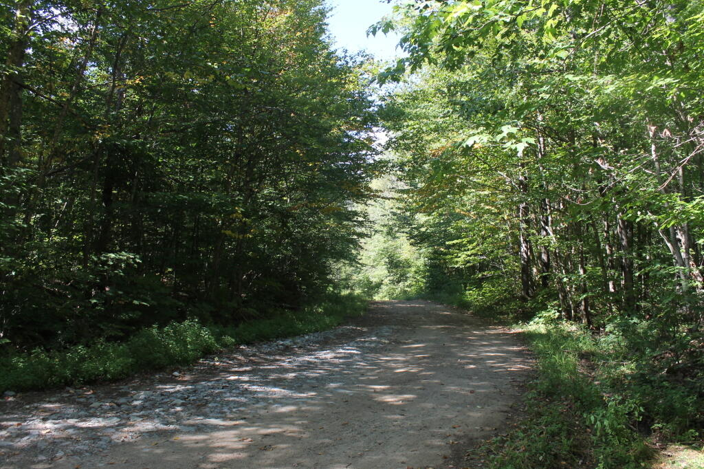 Photo: Rock Dam Road