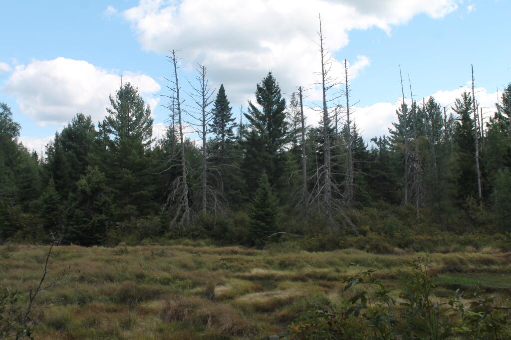 Photo: Red River Valley