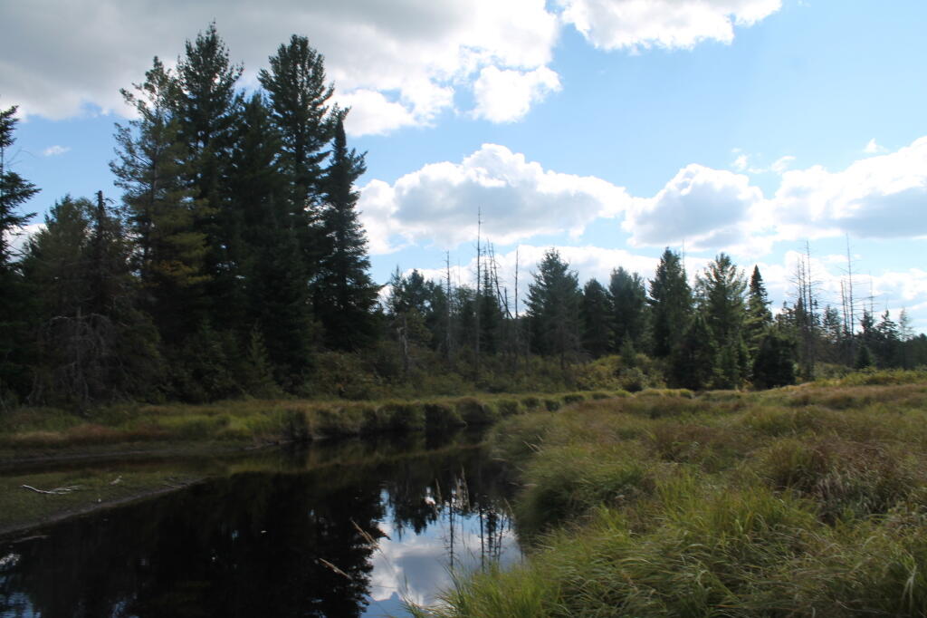 Photo: South on Red River