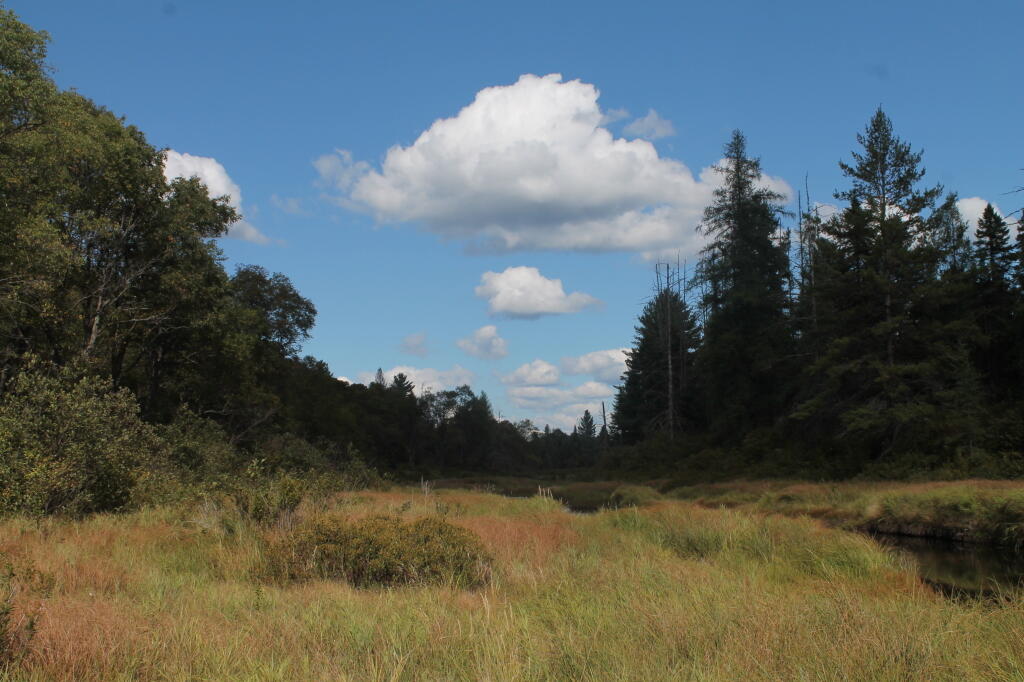 Photo: Clouds