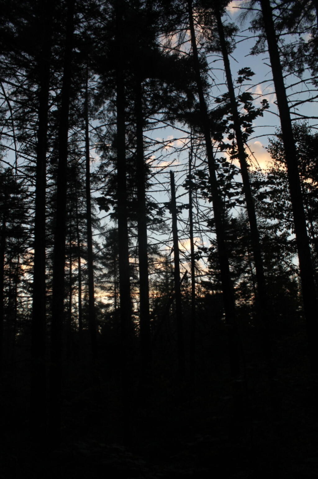 Photo: Dusk