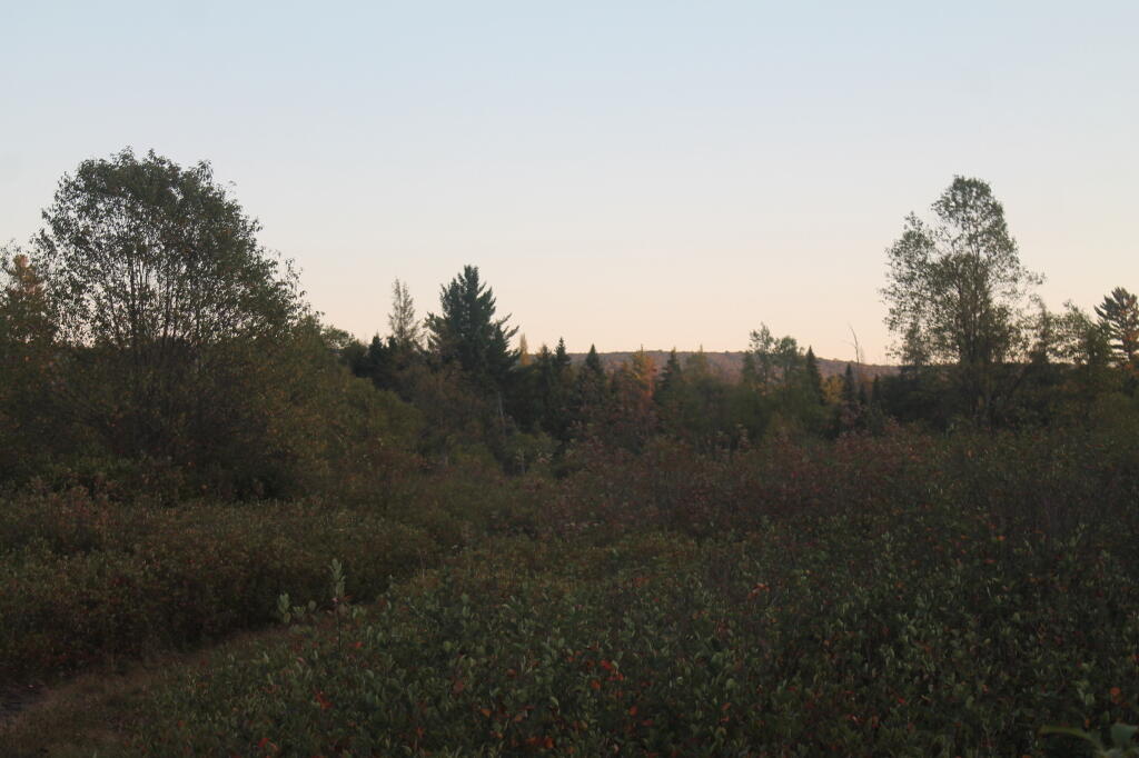 Photo: In the Plains