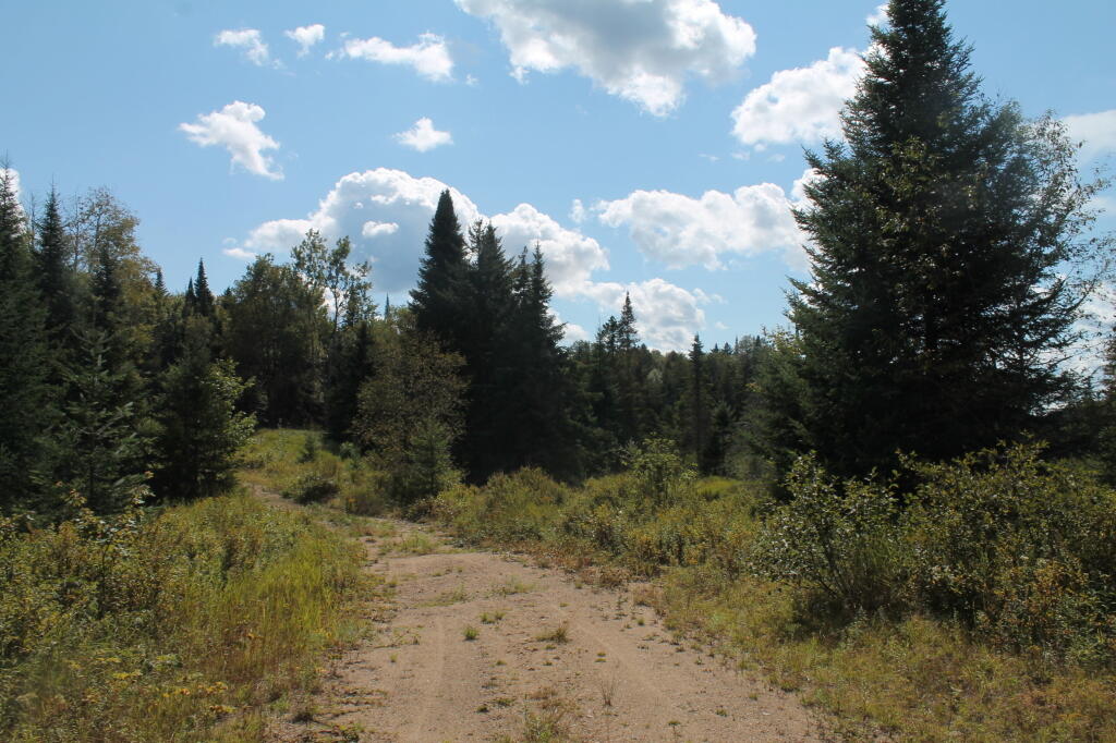Photo: Walking Along Now Closed Portion of Indian Lake Road