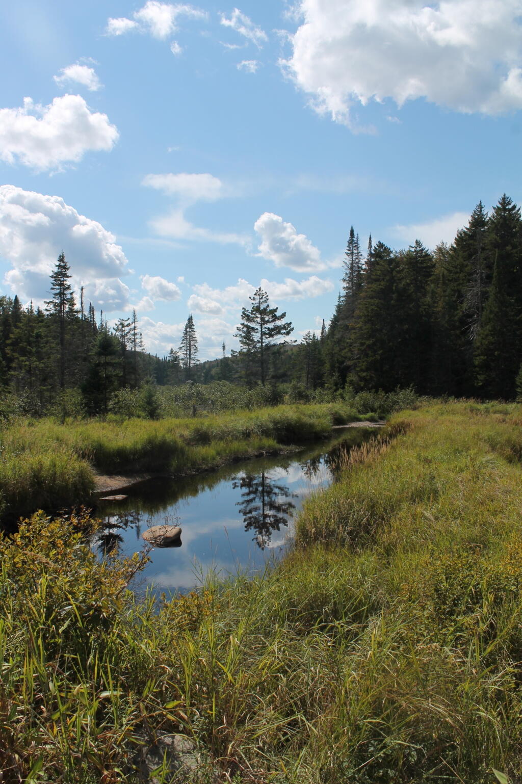 Photo: Muskrat Creek