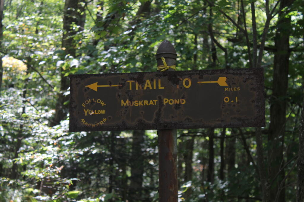 Photo: To Muskrat Pond