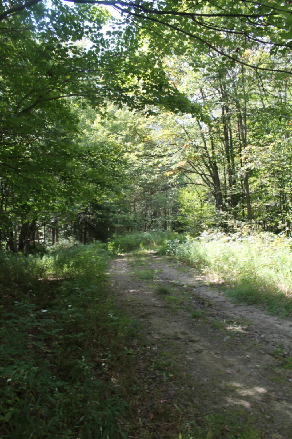 Photo: Former Indian Lake Road